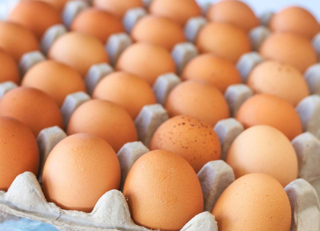 冷库如何存储鸡蛋？在冷库存储鸡蛋的注意事项有哪些？