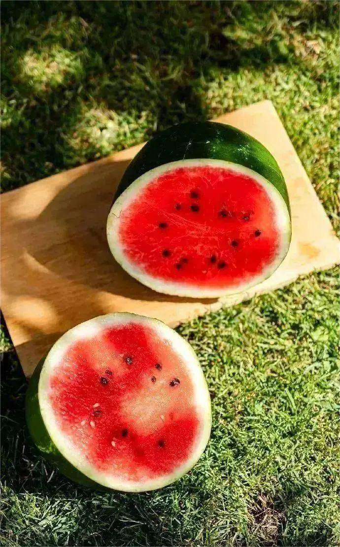 夏季西瓜保鲜库储存