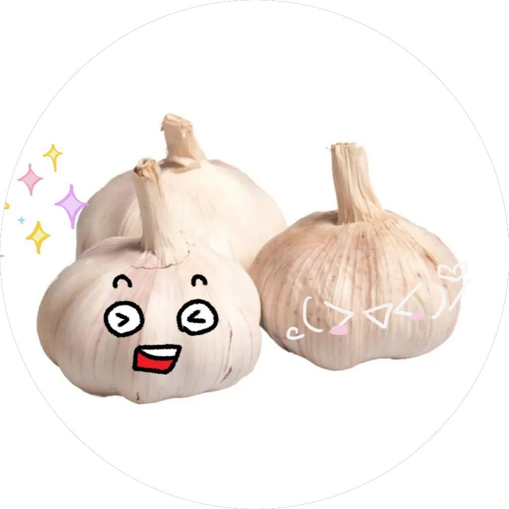 大蒜干藏和鲜藏